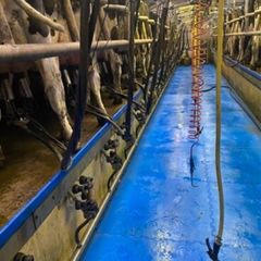 Relief milker