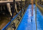 Relief milker