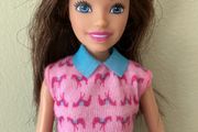 Barbie's Sister Skipper