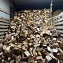 hardwood firewood Image 5