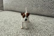 Schleich Jack Russell 16331