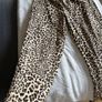 Leopard print trousers Image 2