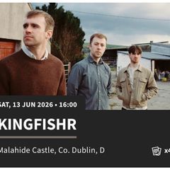 Kingfishr x 4