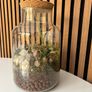 Terrarium - Glass Jar with Cork Lid Image 3
