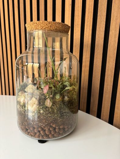 Terrarium - Glass Jar with Cork Lid
