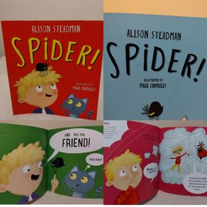 Spider! fun storybook by Alison Steadman