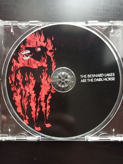 The Besnard Lakes are the Dark Horse CD