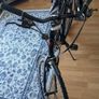 Vercelli Oakland bike, 21 Gear, Shimano Image 2