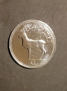 Irish Punt