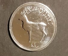 Irish Punt