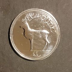 Irish Punt
