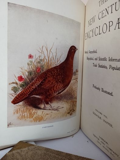 The New Century Encyclopaedia: Historical, Geographical, Biographical, and Scientific Information, Trade Statistics, Populations etc., Edited by R. W. Egerton Eastwick (Vols 6,7,8,9 &10) (PT261)