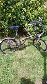 Vintage Raleigh Twenty