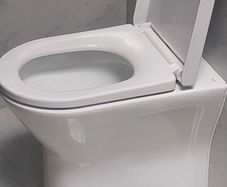 toilet