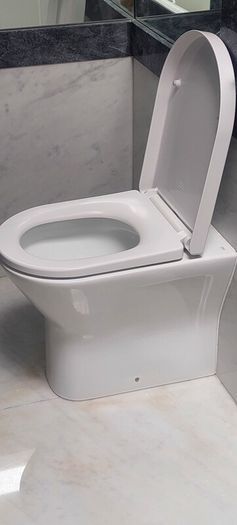toilet