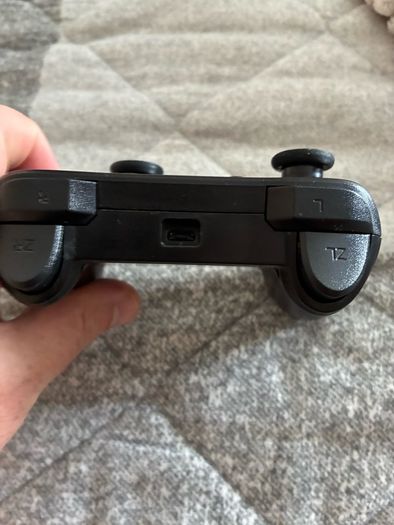 Nintendo Switch Controller
