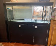 fish tank