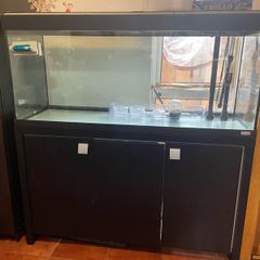fish tank