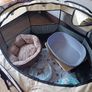 kitten start kit Image 4