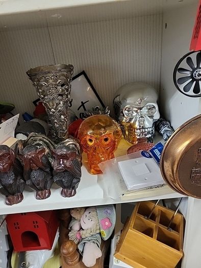 Skull lifesize plastic