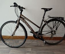 Lapierre Ladies Shaper100