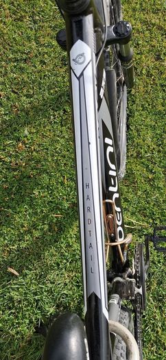 Adult mountain bike