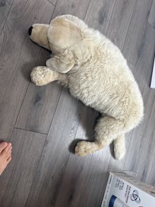 plush toy
