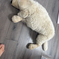 plush toy