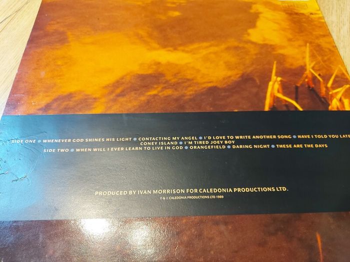 Van Morrison - Avalon Sunset - Vinyl Record