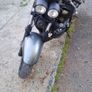 triumph Image 3