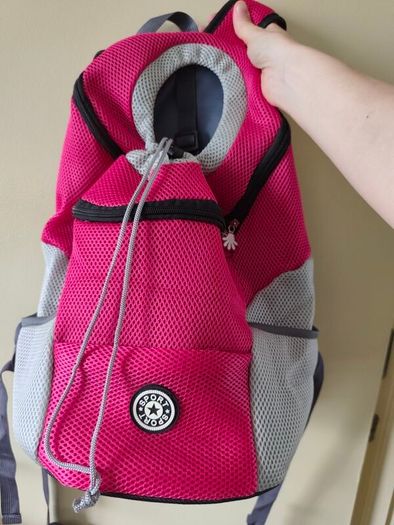 pet's backpack