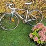 Shed clearance of 4 bikes-REDUCED Image 4