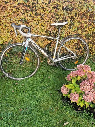 Shed clearance of 4 bikes-REDUCED