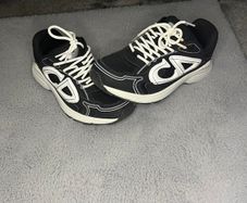 Dior b22