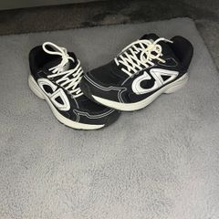 Dior b22