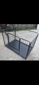 Dog Pen