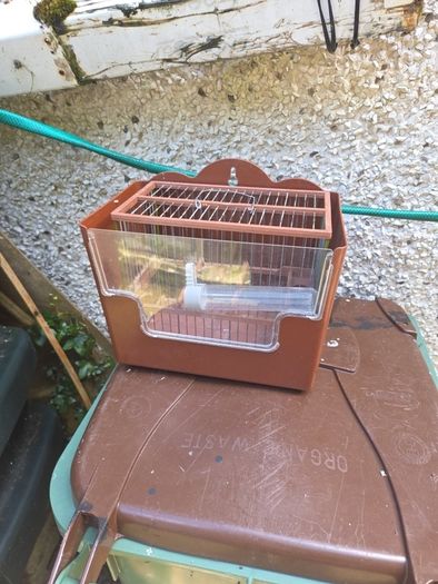 bird cage