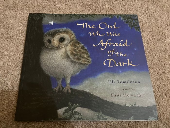 The owl who was afraid of dark
