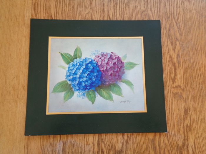 Hydrangea  Print by Vesey Rich for Sale
