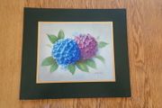 Hydrangea  Print by Vesey Rich for Sale