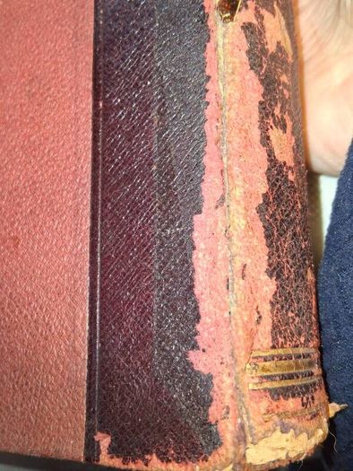 Victorian Newspaper Extract Cuttings Ledger