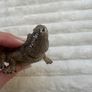 Schleich Alligator Crocodile Moveable Jaw D-73527 Used Please see photos Image 10