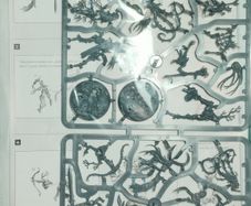 Warhammer Underworlds Ylthari's Guardians