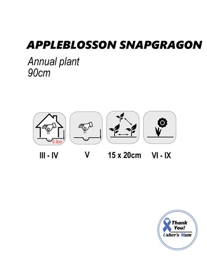 (S) Snapdragon Appleblossom Seeds 0.5g (446319)