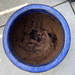 Blue Plant Container