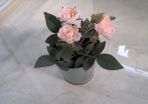 IKEA fake flowers and pot