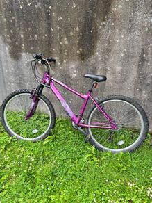 Ladies bike