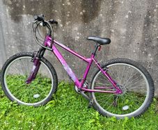 Ladies bike