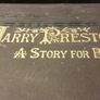 Harry Preston - A Story For Boys - Book From 19th Century Image 8