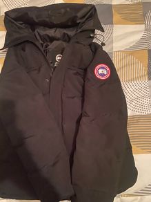 canada goose